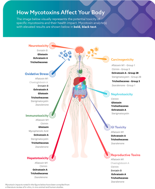 Mycotoxins